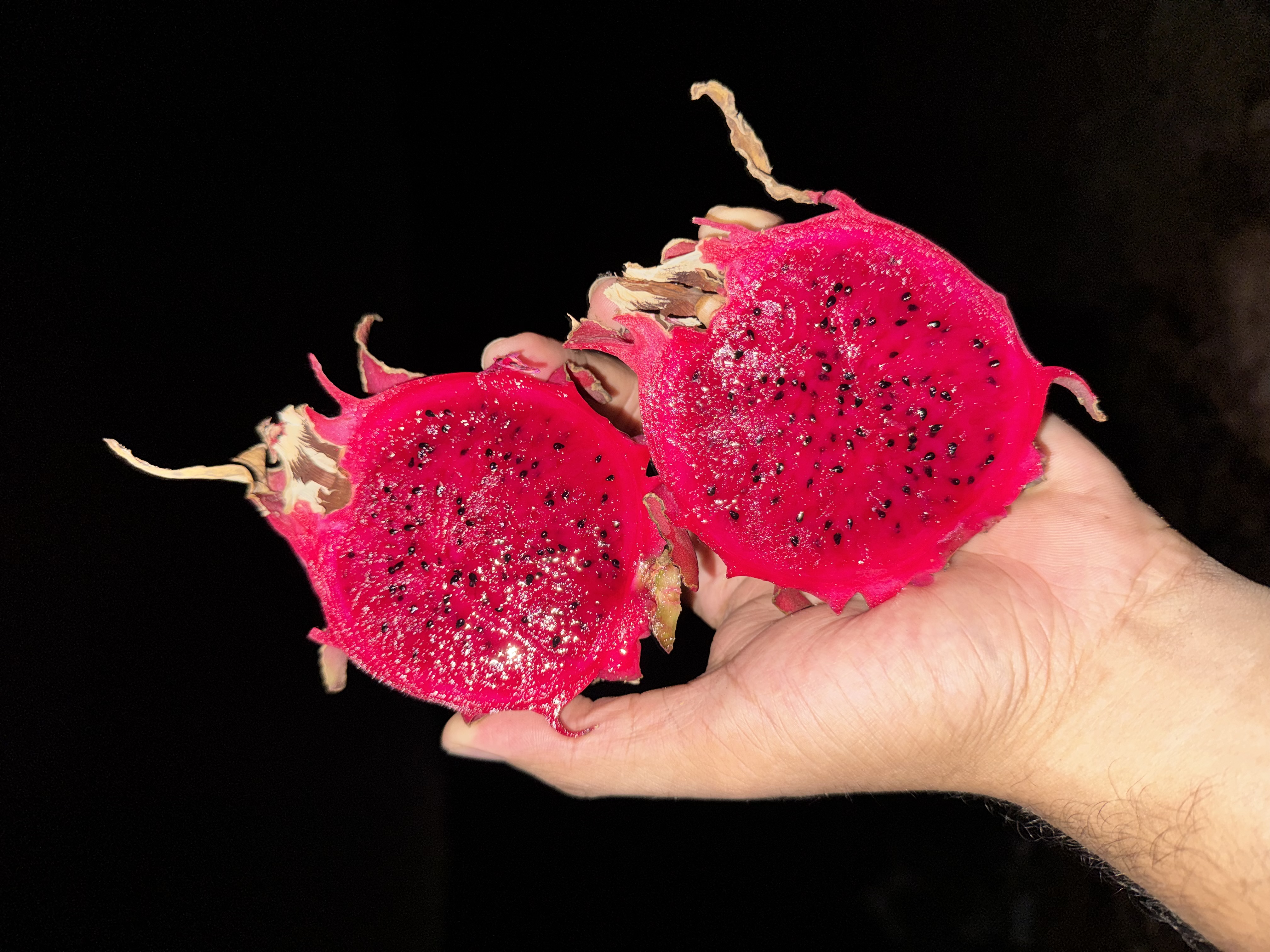 Taiwan Red Pitahaya