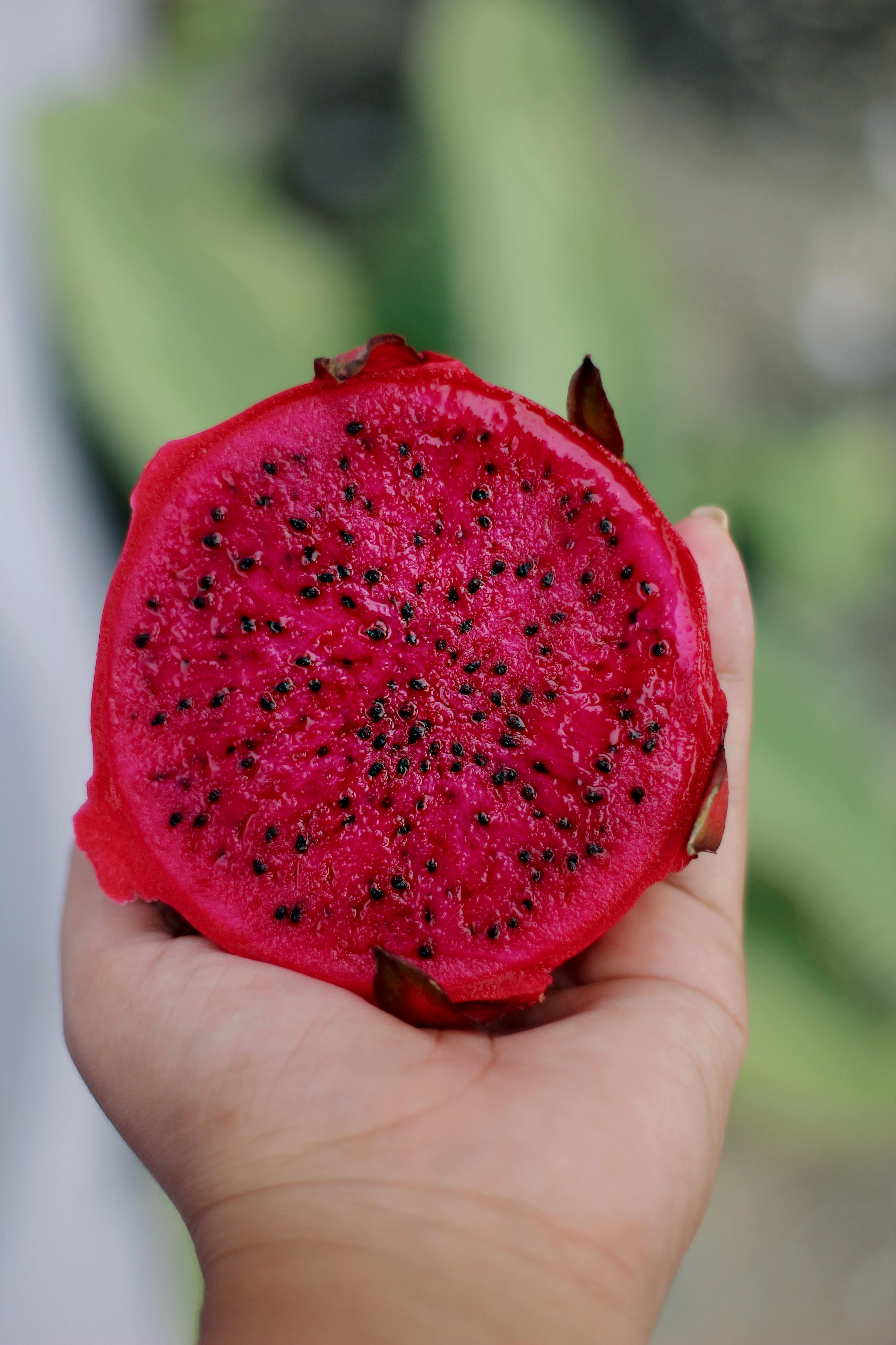 Taiwan Red